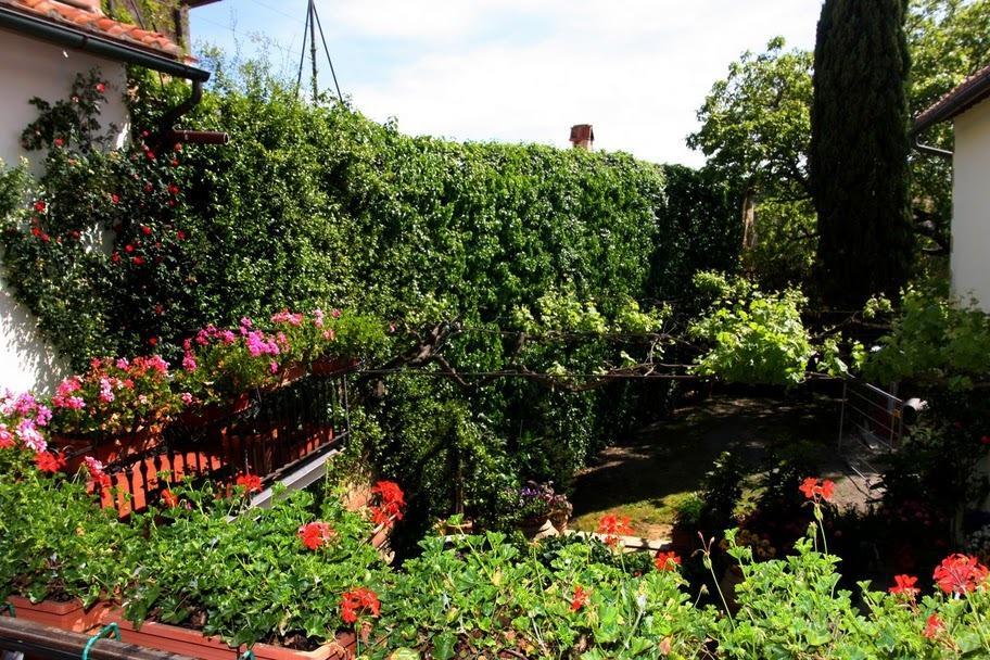 Casa Lemmi Guest House San Quirico dʼOrcia Exterior foto